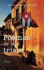 Damaso Fernández Doimeadios